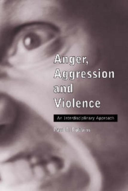 Anger, Aggression and Violence : An Interdisciplinary Approach, Paperback / softback Book