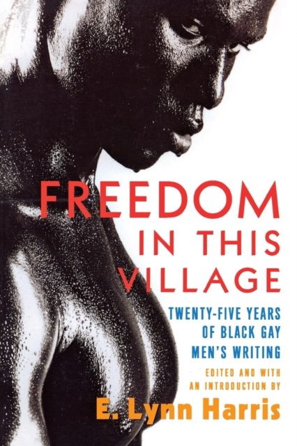 Freedom in This Village : Twenty-Five Years of Black Gay Men's Writing, Paperback / softback Book