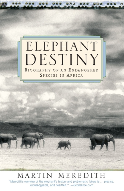 Elephant Destiny : Biography Of An Endangered Species In Africa, EPUB eBook