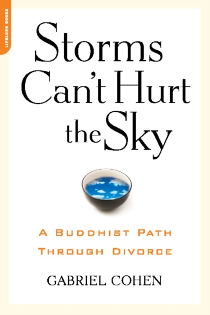 The Storms Can't Hurt the Sky : The Buddhist Path through Divorce, EPUB eBook