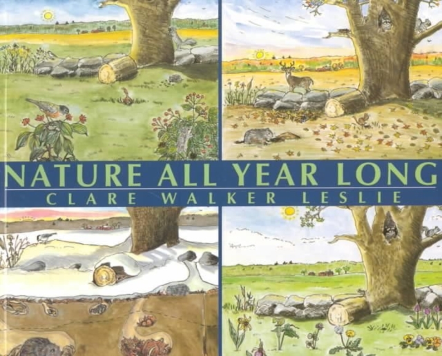 Nature All Year Long, Paperback / softback Book
