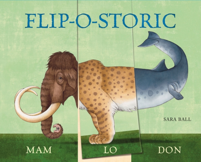Flip-o-storic, Board book Book