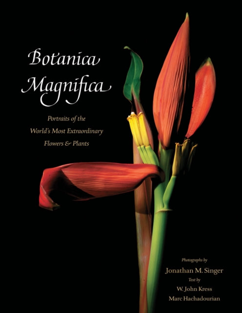 Botanica Magnifica: Portraits of the World's Most Extraordinary Flowers and Plants, Hardback Book
