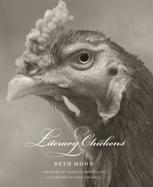 Literary Chickens, Hardback Book