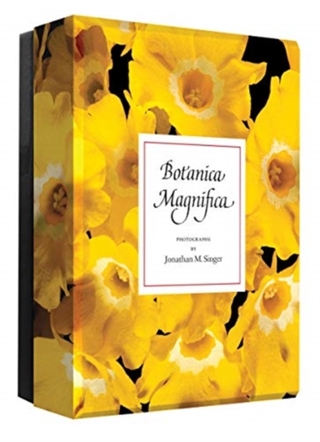 Botanica Magnifica : Detailed Notes, Cards Book