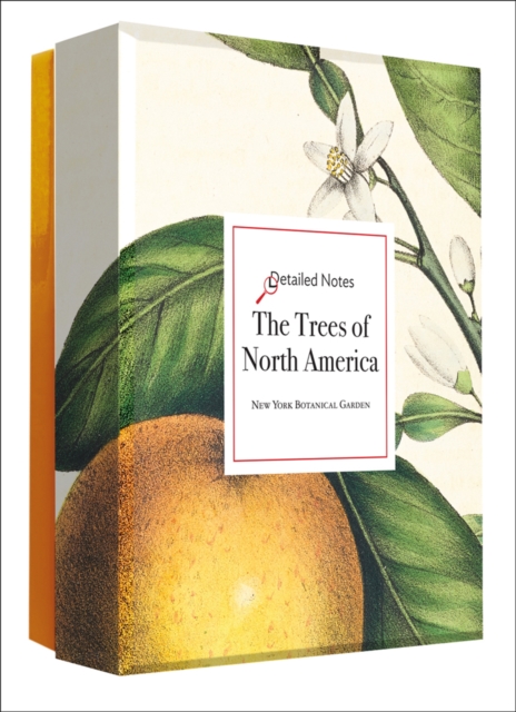The Trees of North America Detailed Notecard Set, Cards Book