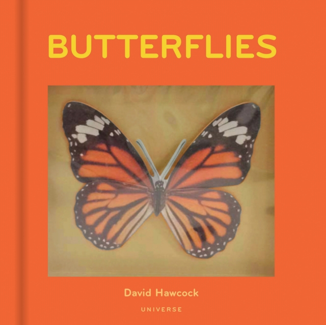 Butterflies, Hardback Book