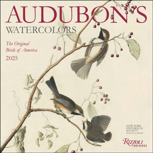 Audubon's Watercolors 2025 Wall Calendar, Calendar Book