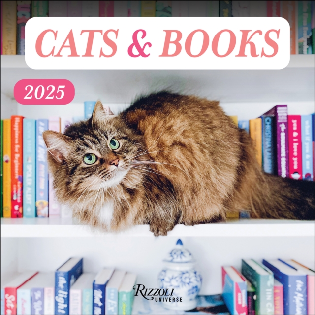 Cats & Books 2025 Wall Calendar, Calendar Book