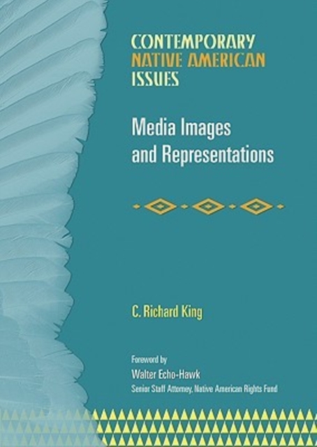 Media Images and Representations, Hardback Book