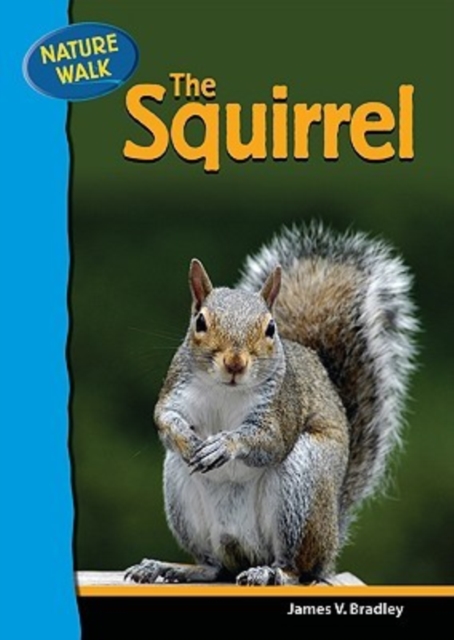 The Squirrel, Hardback Book