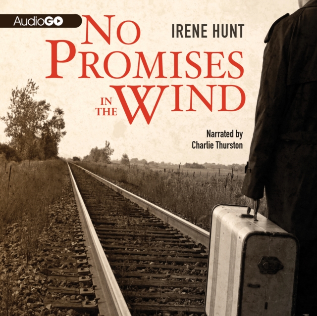 No Promises in the Wind, eAudiobook MP3 eaudioBook