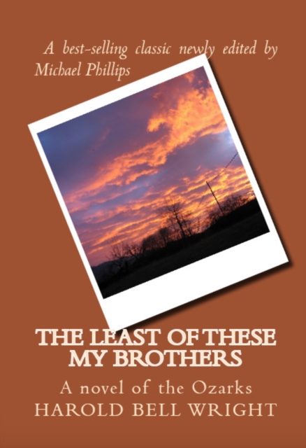 The Least of These My Brothers : A Novel of the Ozarks, EPUB eBook