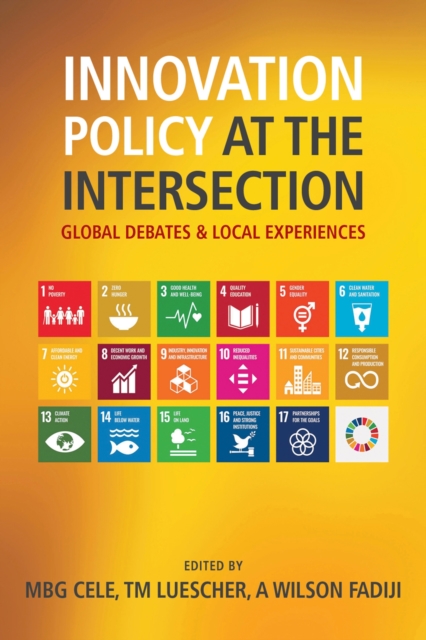 Innovation Policy at the Intersection : Global Debates and Local Experiences, Paperback / softback Book