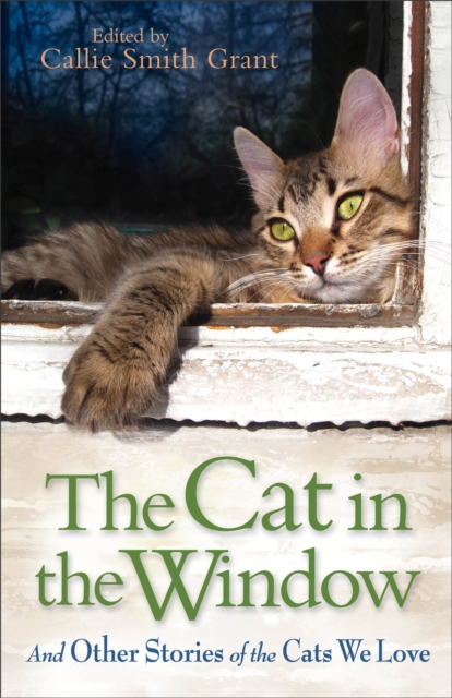The Cat in the Window - And Other Stories of the Cats We Love, Paperback / softback Book