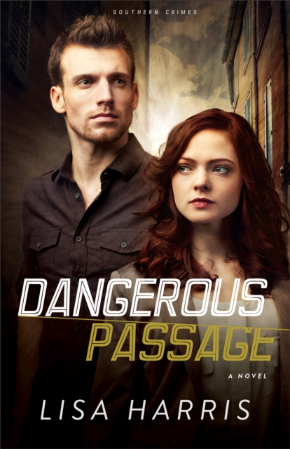 Dangerous Passage - A Novel, Paperback / softback Book