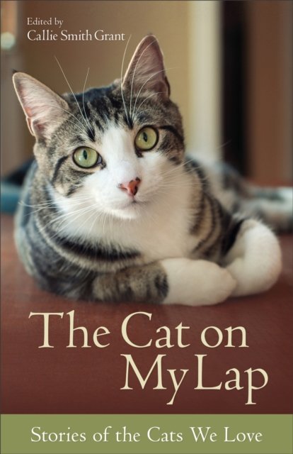 The Cat on My Lap - Stories of the Cats We Love, Paperback / softback Book