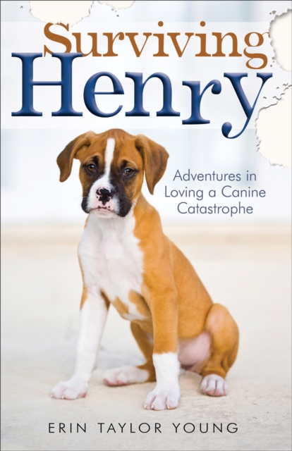 Surviving Henry - Adventures in Loving a Canine Catastrophe, Paperback / softback Book