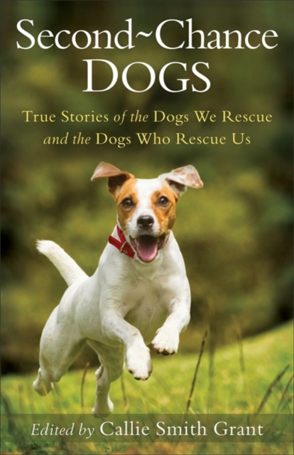 Second-Chance Dogs : True Stories of the Dogs We Rescue and the Dogs Who Rescue Us, Paperback / softback Book