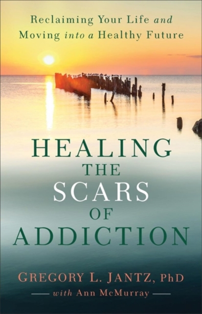Healing the Scars of Addiction : Reclaiming Your Life and Moving into a Healthy Future, Paperback / softback Book