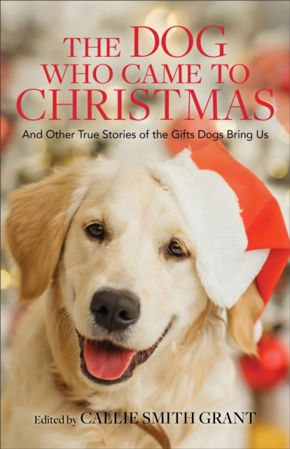 The Dog Who Came to Christmas - And Other True Stories of the Gifts Dogs Bring Us, Paperback / softback Book