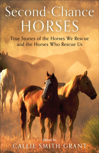 Second-Chance Horses - True Stories of the Horses We Rescue and the Horses Who Rescue Us, Paperback / softback Book
