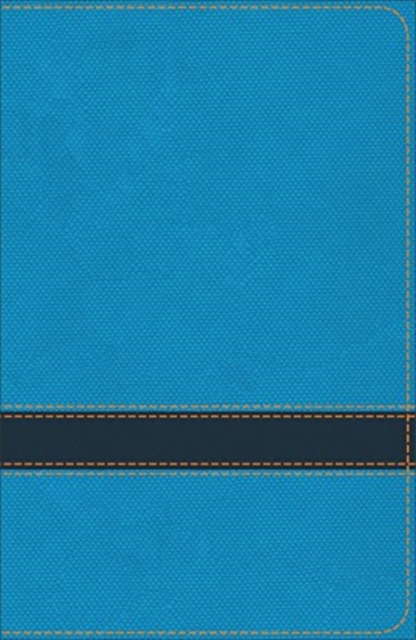 KJV Study Bible for Boys Ocean/Navy LeatherTouch, Leather / fine binding Book