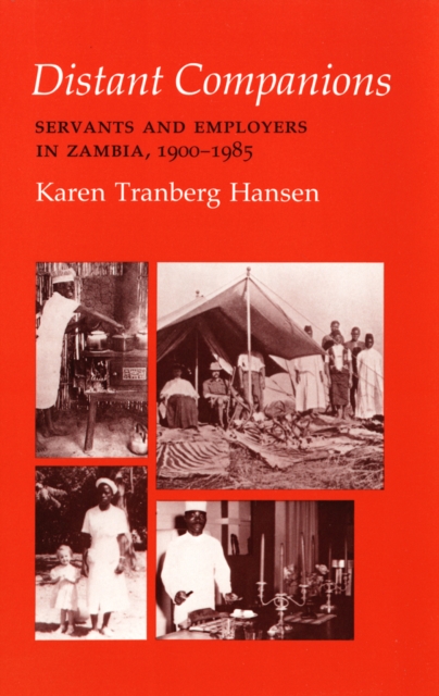 Distant Companions : Servants and Employers in Zambia, 1900-1985, Hardback Book