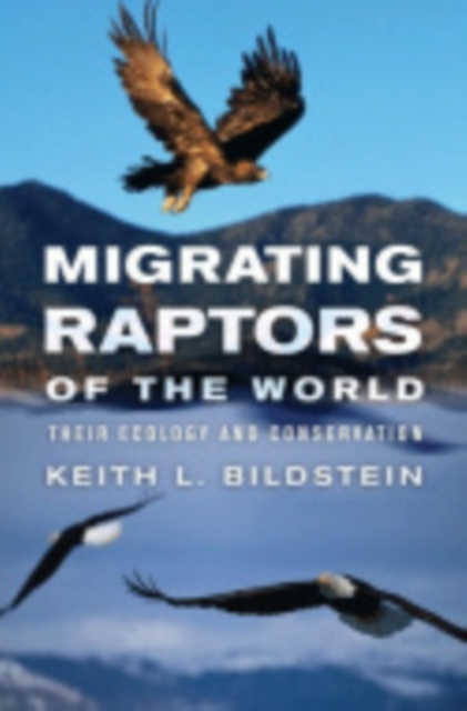 Migrating Raptors of the World : Their Ecology and Conservation, Hardback Book
