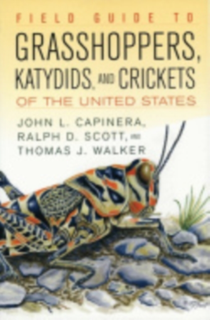 Field Guide to Grasshoppers, Katydids, and Crickets of the United States, Hardback Book