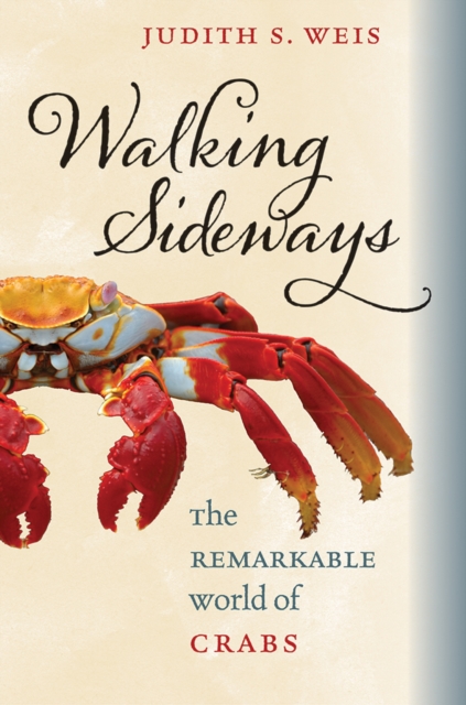 Walking Sideways : The Remarkable World of Crabs, Hardback Book