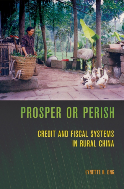 Prosper or Perish : Credit and Fiscal Systems in Rural China, Hardback Book