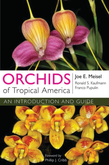 Orchids of Tropical America : An Introduction and Guide, PDF eBook