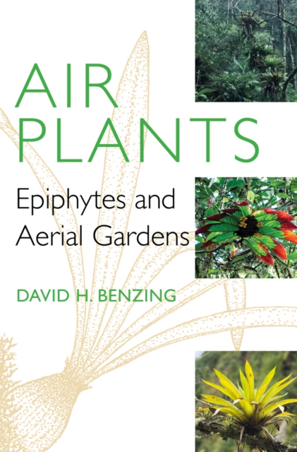Air Plants : Epiphytes and Aerial Gardens, PDF eBook