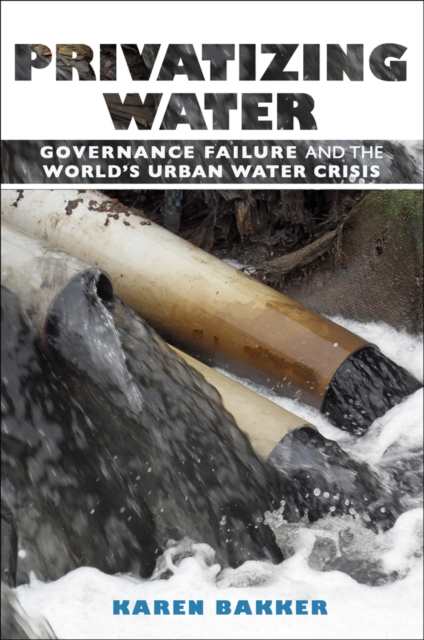 Privatizing Water : Governance Failure and the World's Urban Water Crisis, EPUB eBook