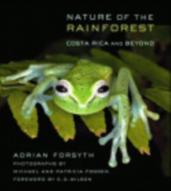 Nature of the Rainforest : Costa Rica and Beyond, Paperback / softback Book