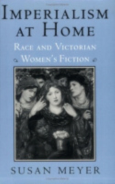 Imperialism at Home : Race and Victorian Women's Fiction, Paperback / softback Book