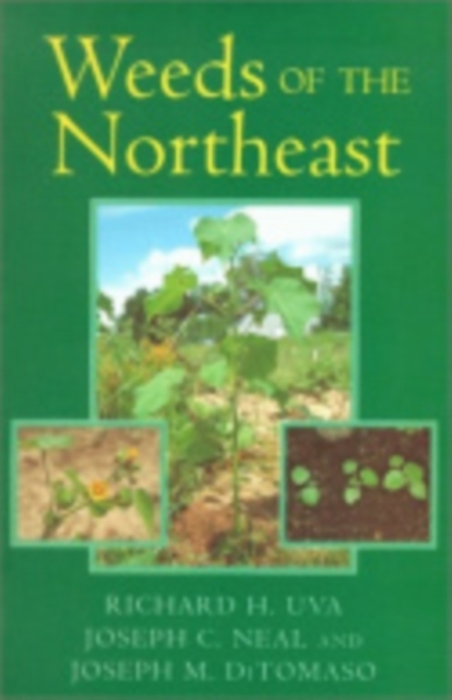 Weeds of the Northeast, Paperback / softback Book