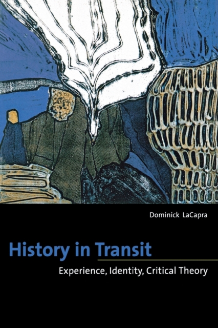 History in Transit : Experience, Identity, Critical Theory, Paperback / softback Book
