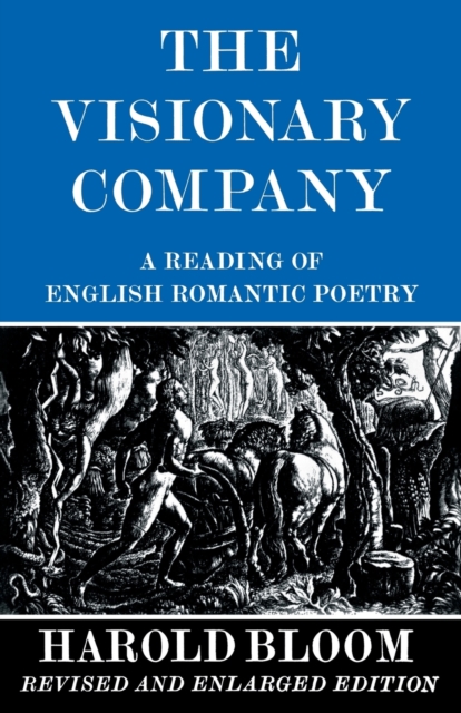 The Visionary Company : A Reading of English Romantic Poetry, Paperback / softback Book