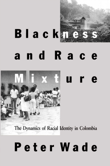 Blackness and Race Mixture : The Dynamics of Racial Identity in Colombia, Paperback / softback Book