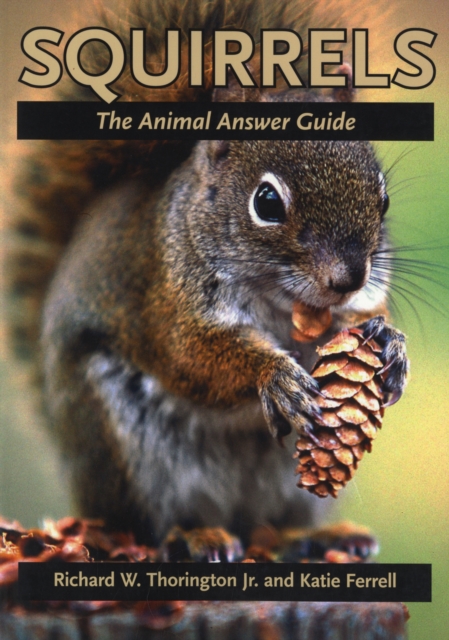 Squirrels : The Animal Answer Guide, Paperback / softback Book