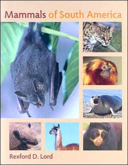 Mammals of South America, Hardback Book