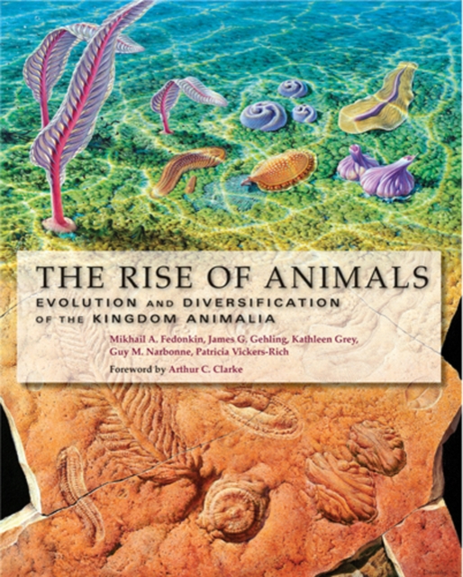 The Rise of Animals : Evolution and Diversification of the Kingdom Animalia, Hardback Book