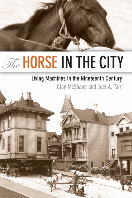 The Horse in the City, EPUB eBook