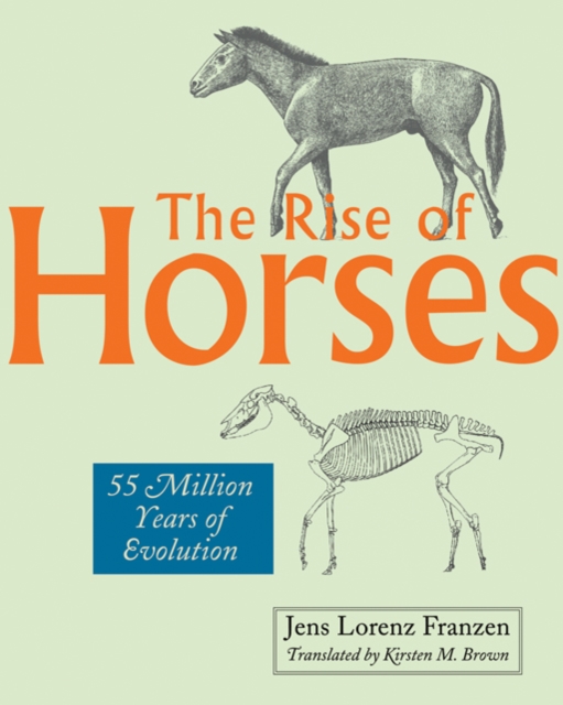 The Rise of Horses : 55 Million Years of Evolution, Hardback Book