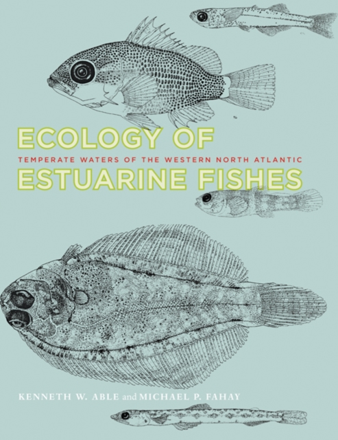 Ecology of Estuarine Fishes : Temperate Waters of the Western North Atlantic, Hardback Book