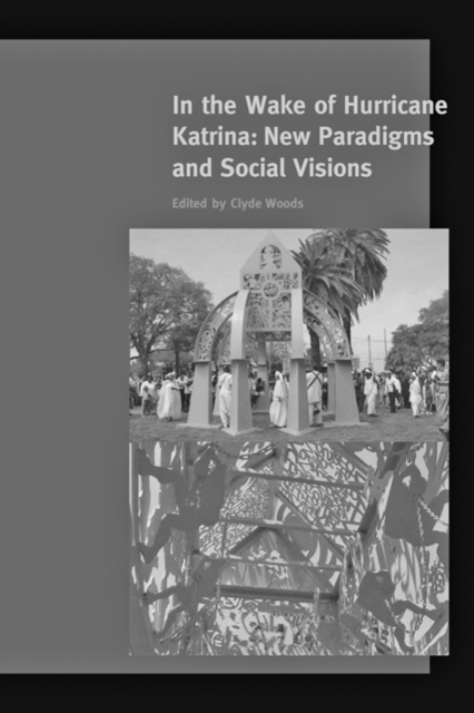 In the Wake of Hurricane Katrina : New Paradigms and Social Visions, Paperback / softback Book