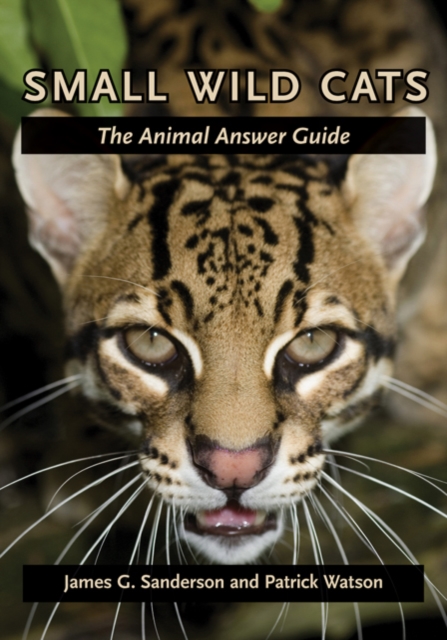 Small Wild Cats : The Animal Answer Guide, Hardback Book