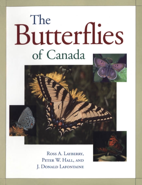 The Butterflies of Canada, Paperback / softback Book